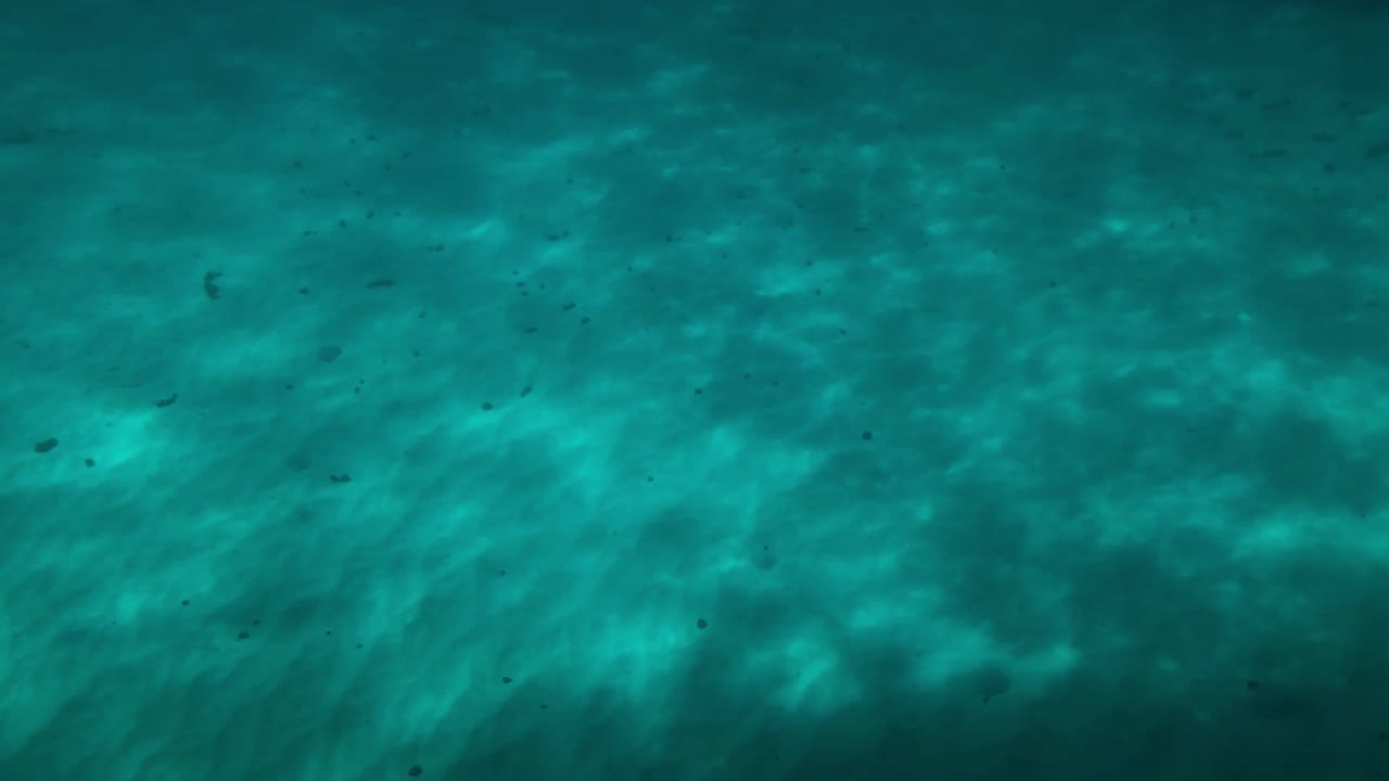 Osservando la luce del sole che si rifrange sul fondale sabbioso prima di partire per esplorare la barriera corallina.