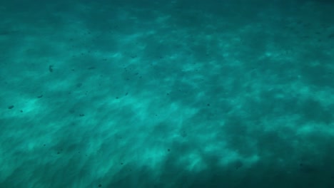 Watching-the-sunlight-refracting-on-the-sandy-bottom-before-we-head-out-to-explore-the-reef