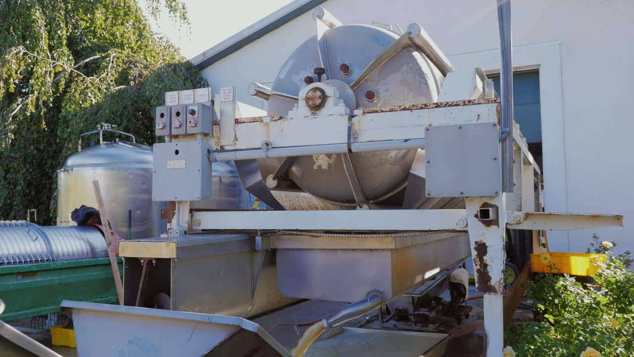 uvas recién recogidas durante la cosecha en una bodega empresa 2