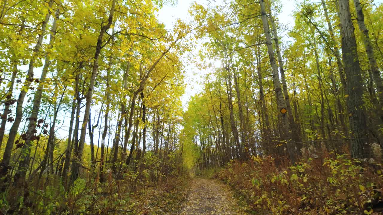 Bright Autumn Day On The Trials At Elk Island Alberta