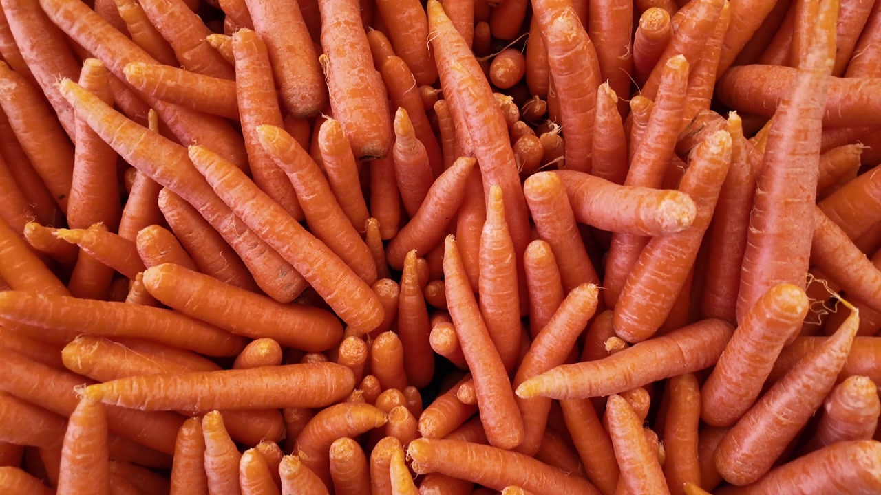 Close-Up View of Many Fresh Orange Carrots