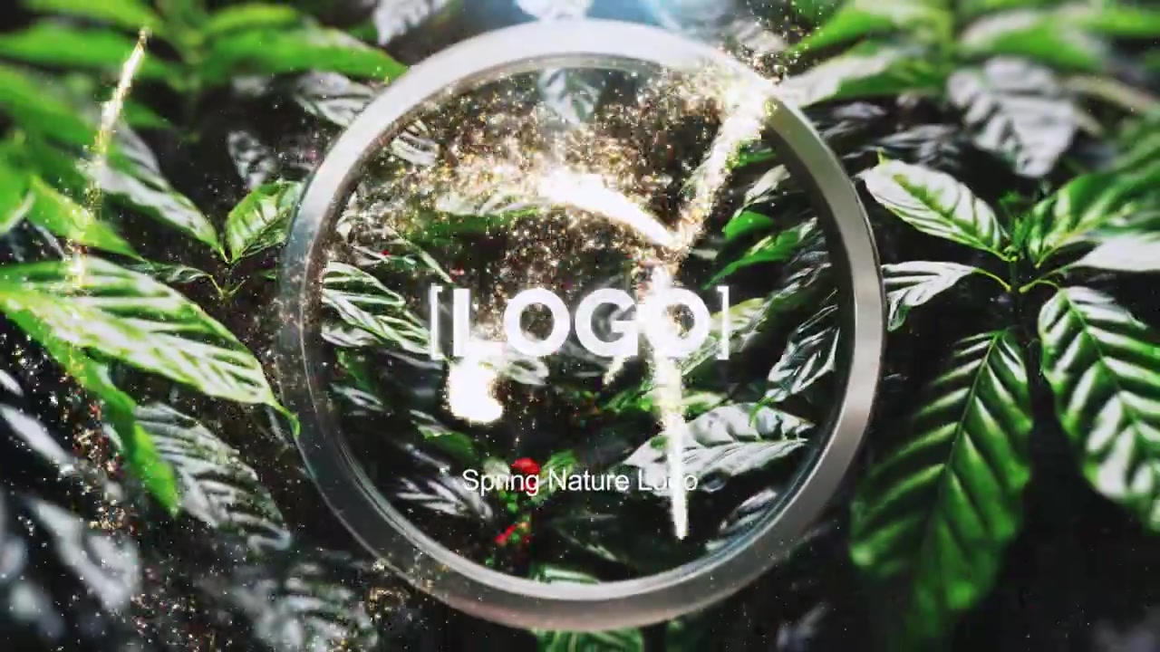 Spring Logo v2