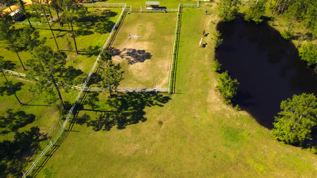 A dramatic drone shot of horses running through the pasture on a sunny Florida horse ranch