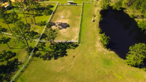una toma dramática de un dron de caballos corriendo por el pasto en un soleado rancho de caballos de florida