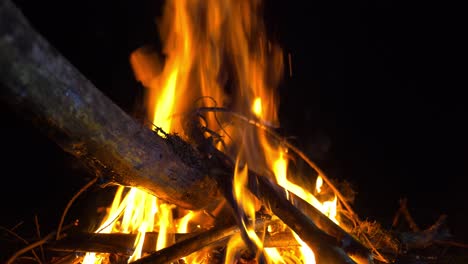 at night, a large bonfire burns. bonfire of the branches burns on nature.