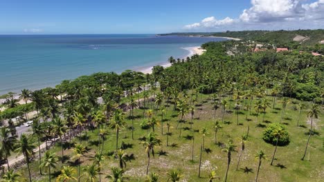 strandszene in porto seguro bahia, brasilien