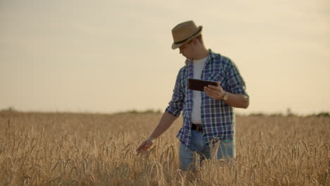 young male farmer holding tablet in wheat field