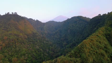 aerial view of lush hill landscape with trees and volcano in background during sunrise in indonesia