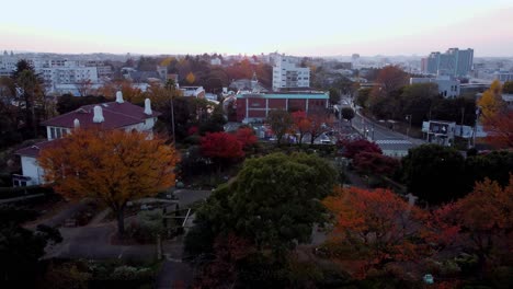 a vibrant city park at sunset with autumn colors, aerial view