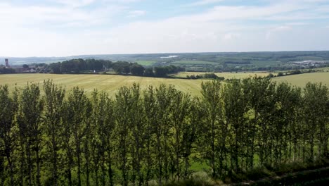 Fliegen-Entlang-Einer-Hohen-Baumgrenze-In-Der-Wunderschönen-Landschaft-Von-Kent