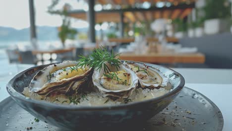 fresh oysters at a seaside restaurant