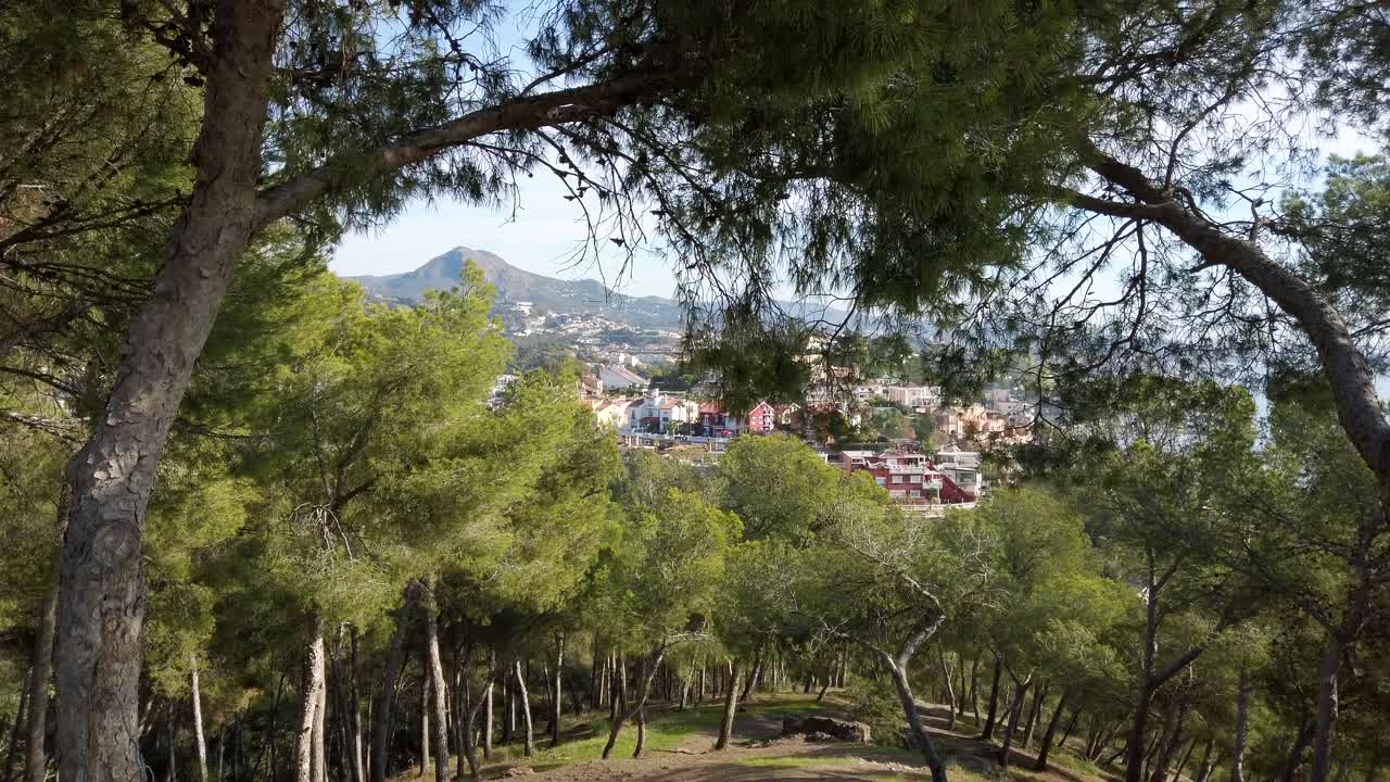 bosque en una colina española en un día soleado
