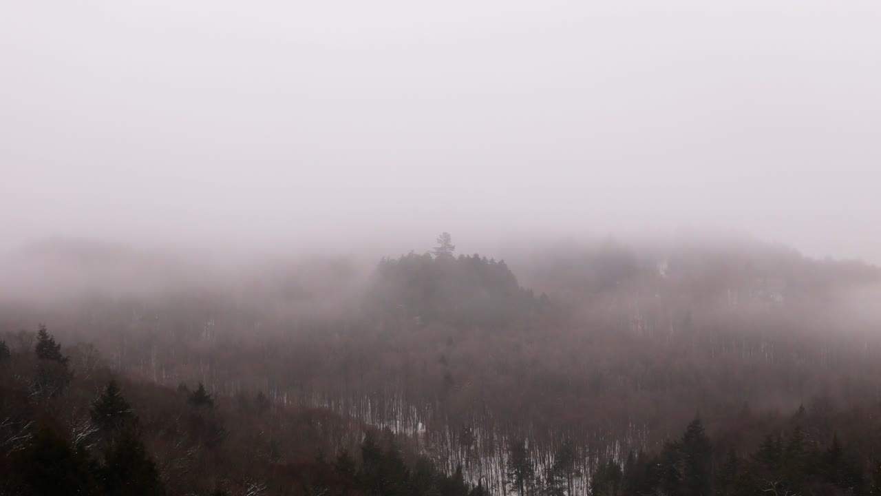 A quiet winter forest covered in light snow, shrouded in a dense layer of fog, creating a mysterious and tranquil atmosphere.