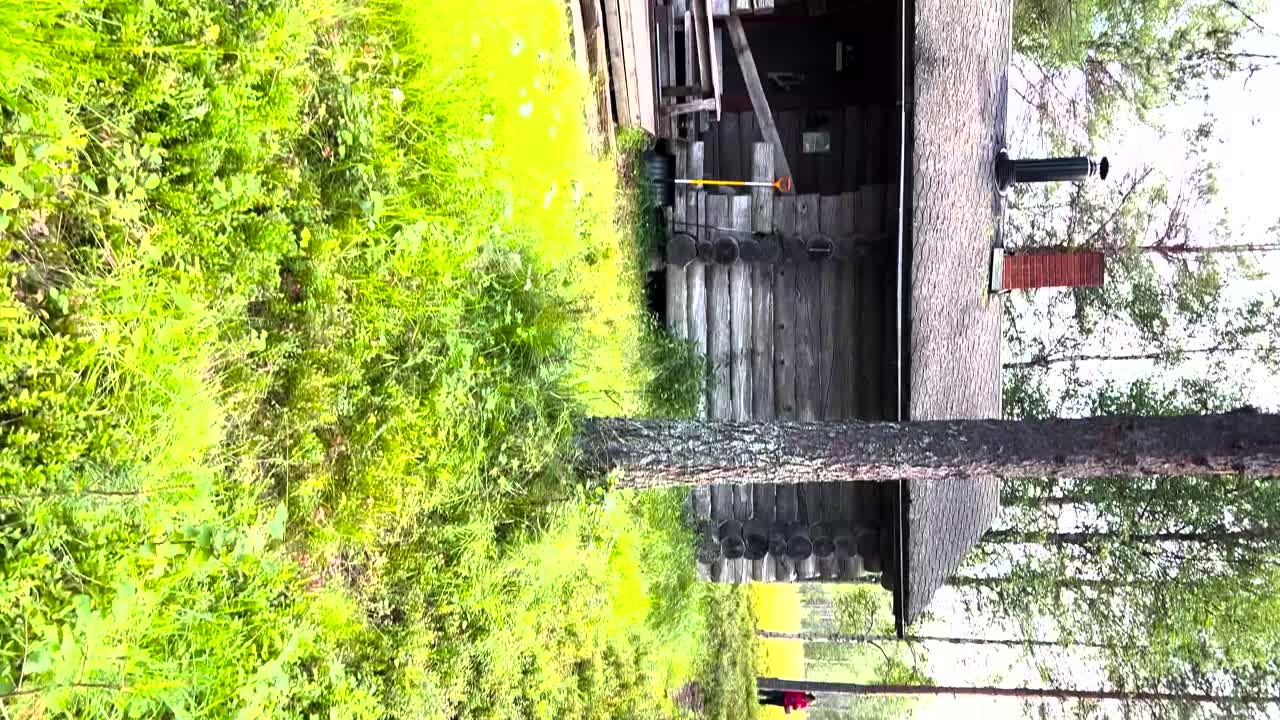 소박한 목재 장비가 있는 숲의 나무 오두막, 팬 왼쪽