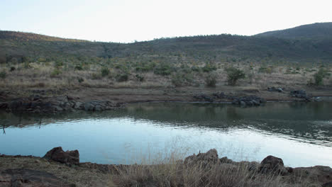 Escena-De-La-Naturaleza-En-Sudáfrica