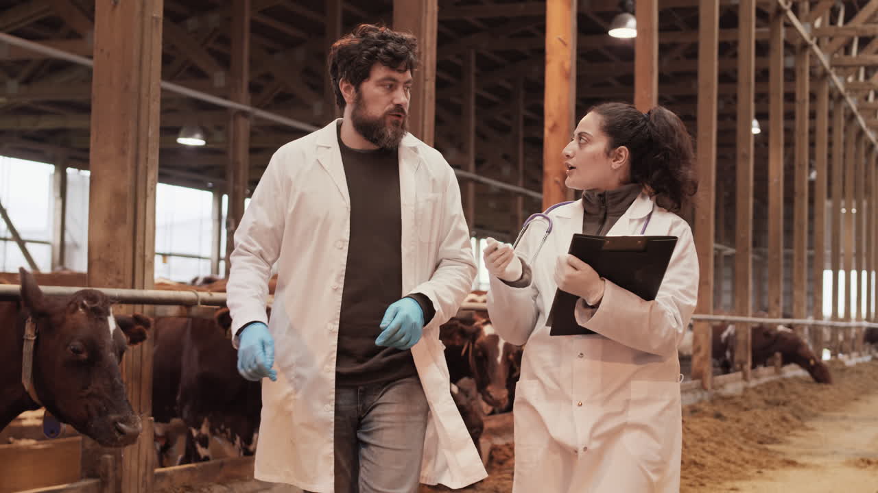 Veterinarians Walking and Talking in Cowshed