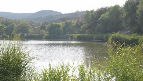 establishing shot of small fishing lake on hazy day, varbo, hungary