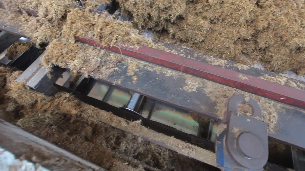 말레이시아의 거대한 공장에서 팜유를 가공 및 생산하는 생산 기계