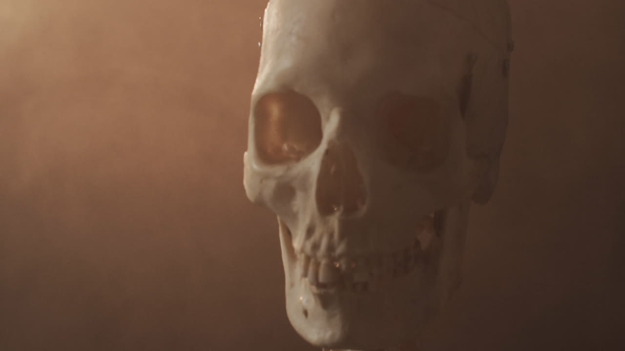 Video ravvicinato di un teschio e uno scheletro di Halloween con spazio per il testo su sfondo marrone