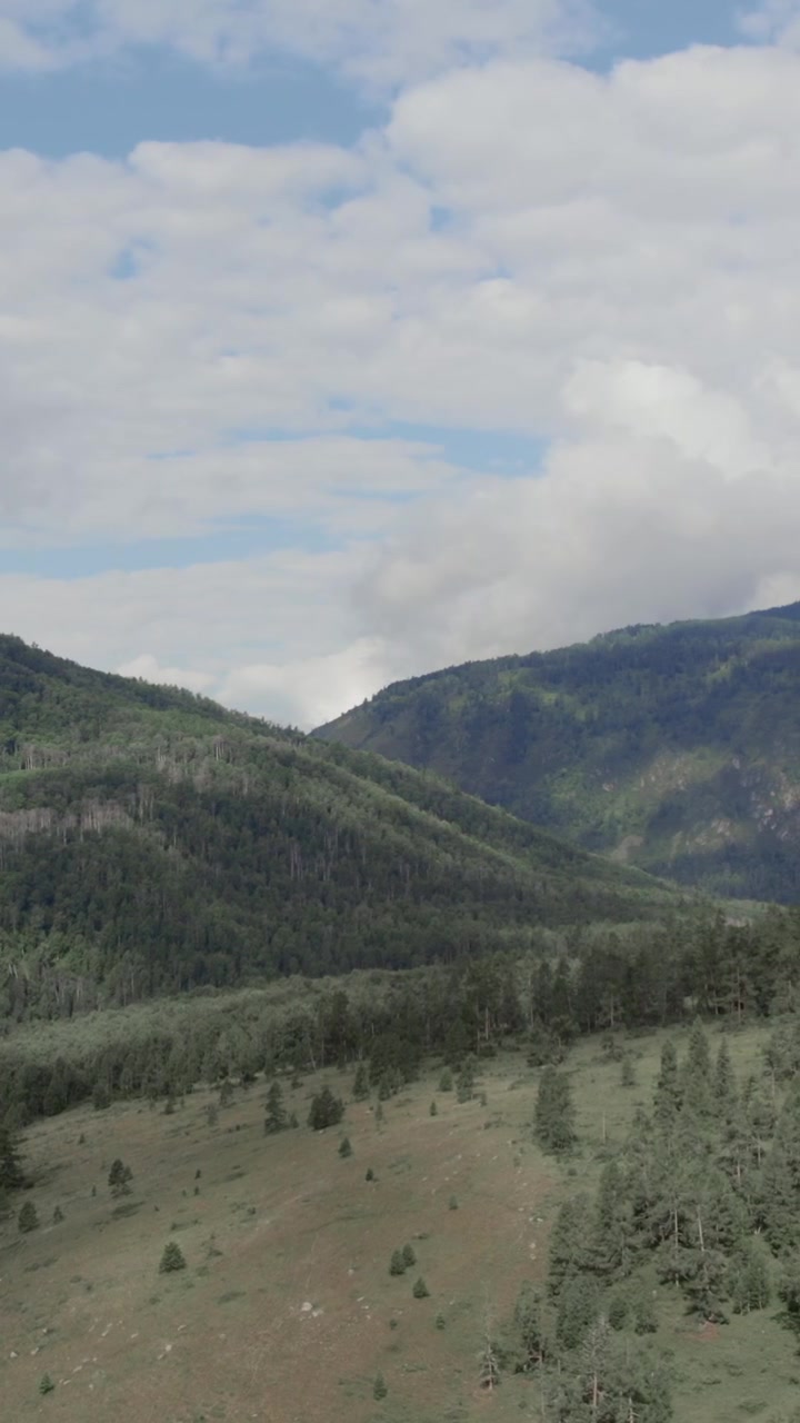 Ampio filmato paesaggistico dei Monti Altai con fitta foresta di conifere verde, dolci colline e un prato aperto sotto nuvole soffici, scenario di natura selvaggia e pacifica in Russia.