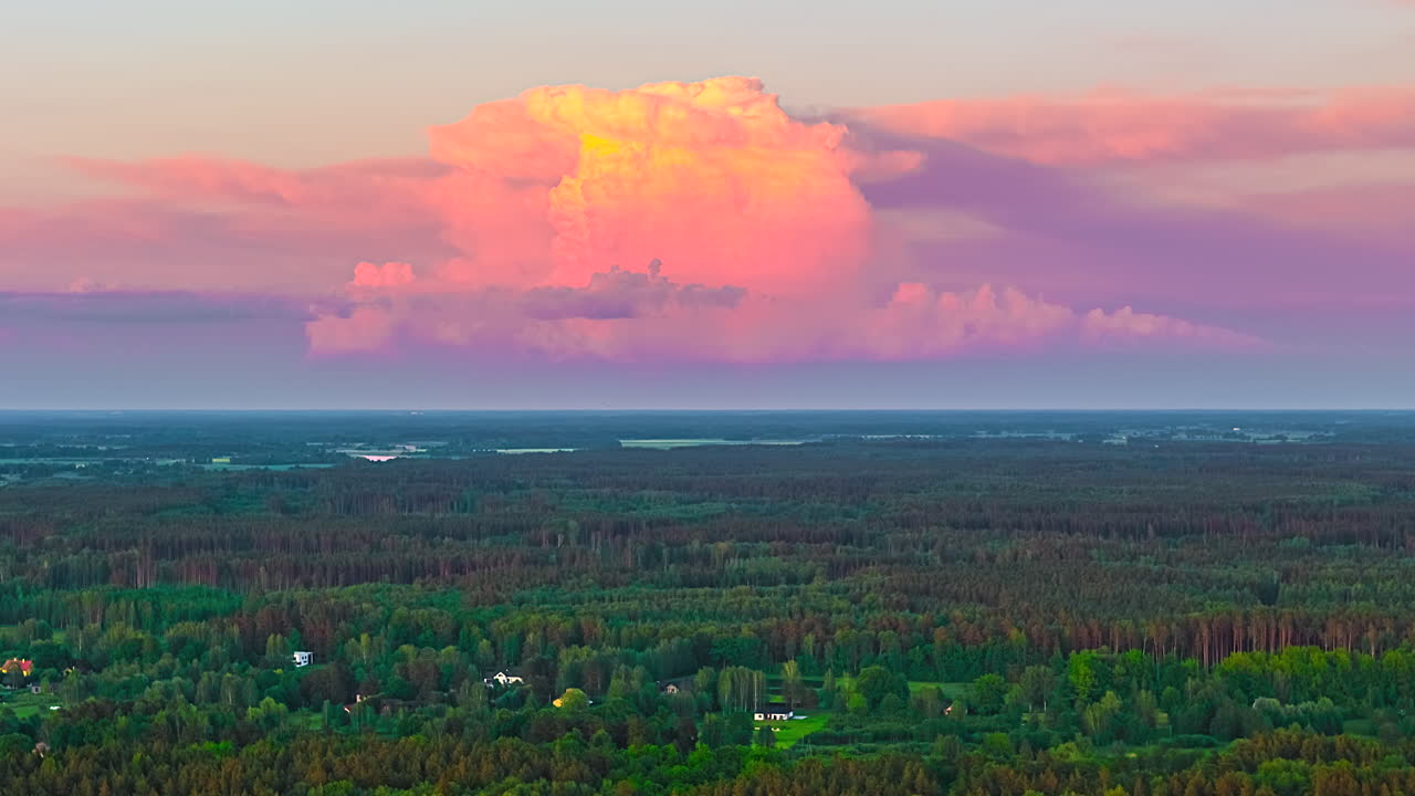Drone hyperlapse of dense pine forest under vivid pink clouds at tranquil summer sunset