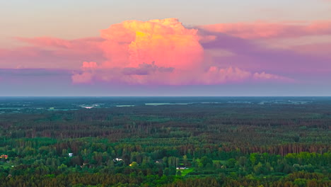 drone hyperlapse of dense pine forest under vivid pink clouds at tranquil summer sunset