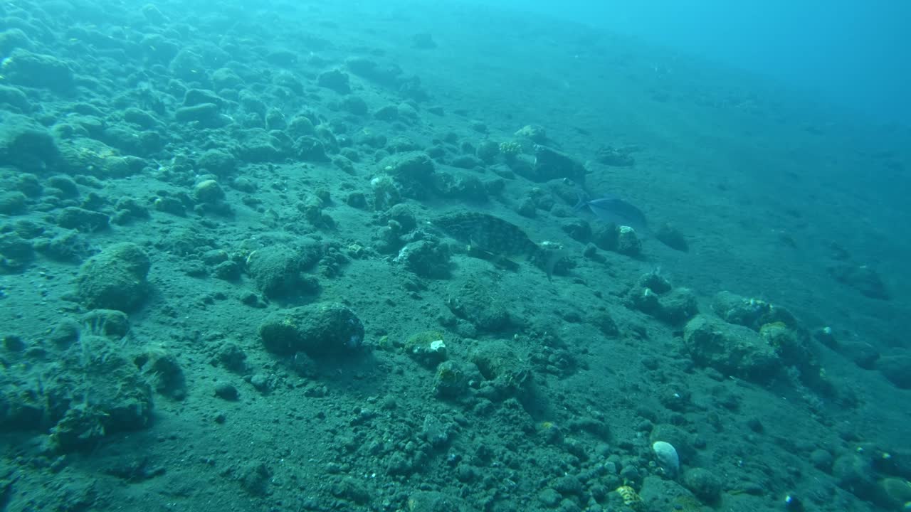 el mar nado mar azul brillante océano, rocas en el fondo del mar