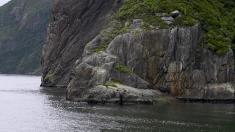 Seelöwen-Liegen-Auf-Einem-Großen-Felsen-Im-Milford-Sound,-Gesehen-Von-Einem-Kreuzfahrtschiff-An-Einem-Sonnigen-Tag