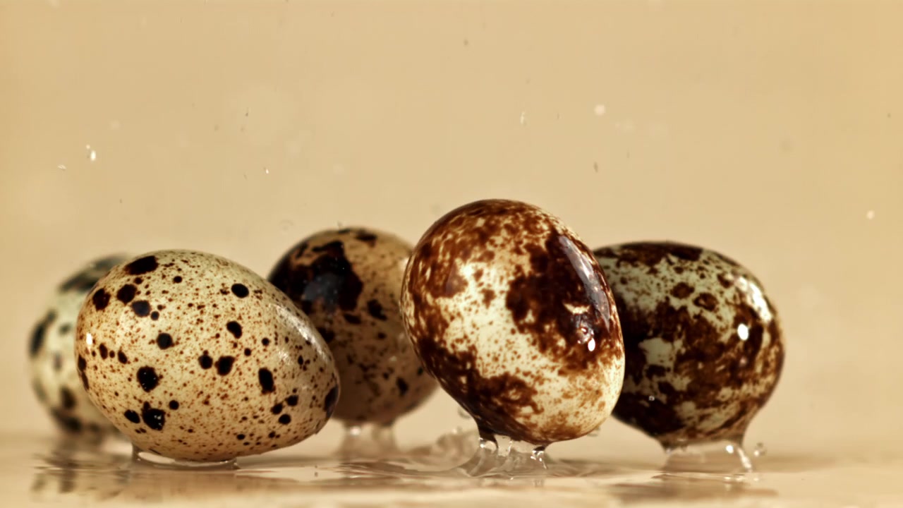 Quail Eggs Falling and Splashing on a Wet Surface in Slow Motion