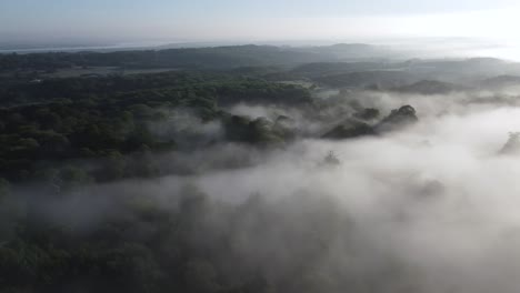 A-unique-spin-into-the-clouds-below-the-trees