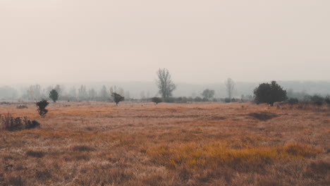 Rotbraune-Grasbewachsene-Heide,-Büsche,-Neblige-Landschaft-Im-Herbst,-Tschechien