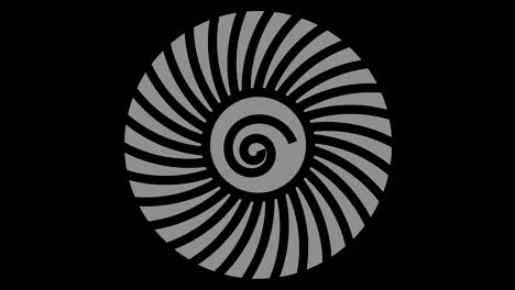 graphic object in black and white with stroboscopic and hypnotic effect, which rotates clockwise decreasing the size from full screen to disappearing in the center, in 16: 9 video format