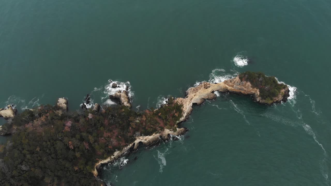 Aerial Fly Above Forested Cliff and ocean in Sanriku Fukko National Park, Japan