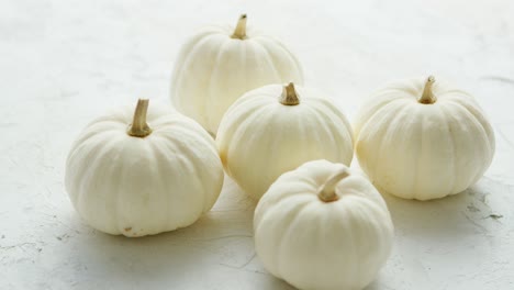 White-small-pumpkins-on-the-table