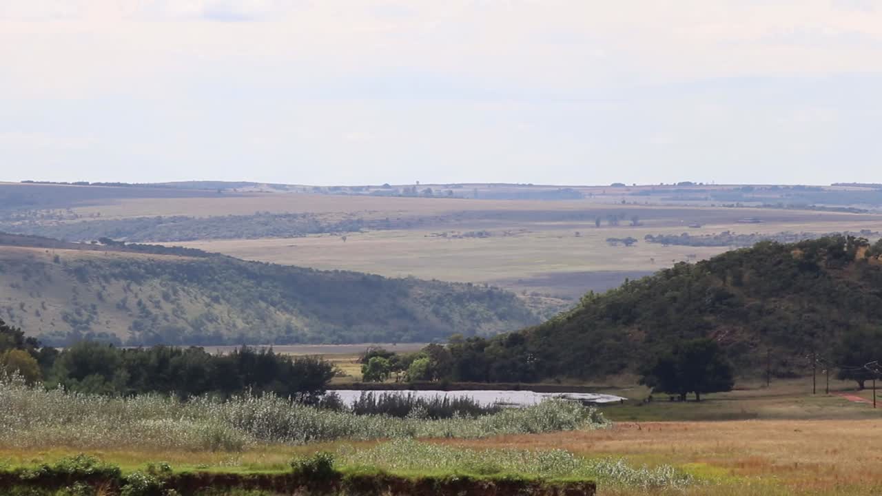 Large expanse of green landscape and a pond