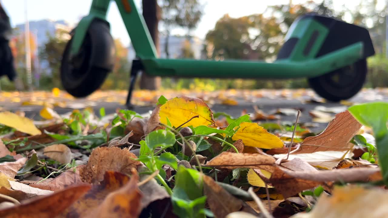 Autumn Leaves and a Green Electric Scooter