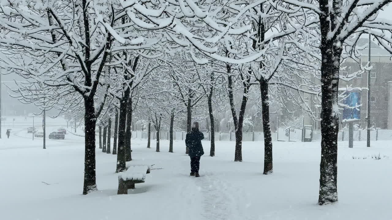 Ground-level view of a person walking through a tree lined park alley during heavy snowfall. Snow covered branches and paths create a quiet winter urban scene