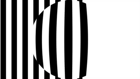 black and white striped optical illusion