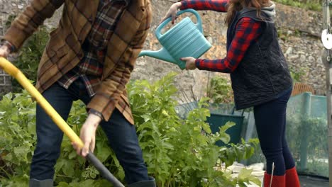 young couple gardening