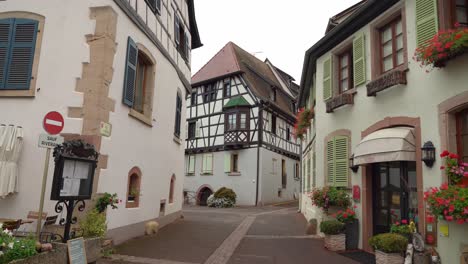 las calles pueden estar muy vacías en ciertas partes de la aldea de eguisheim.