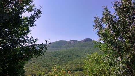 a view from the forest in sudak, crimea, russia, looking out at the mountains