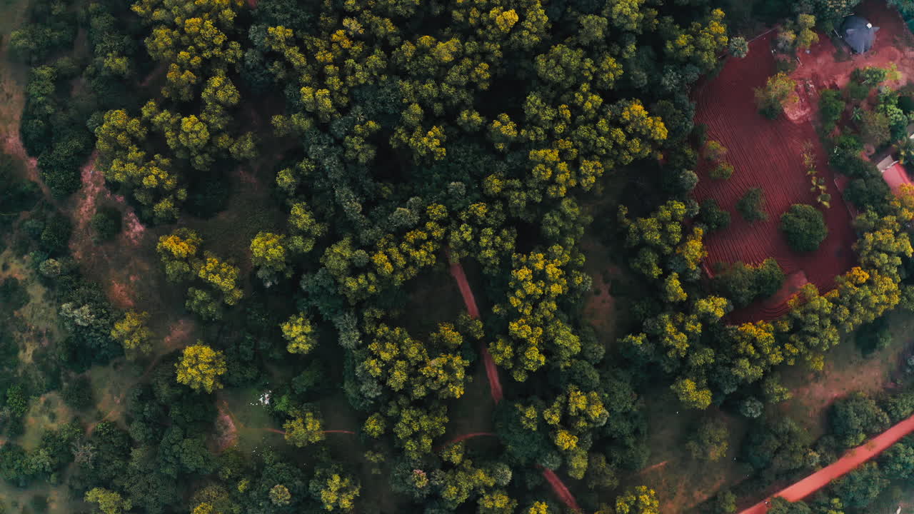 Aerial View of a Forest and Farmland