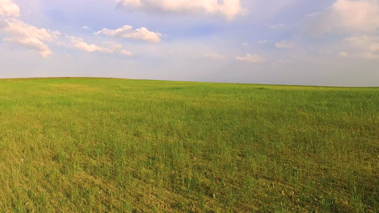 volando sobre campos verdes con cielo azul