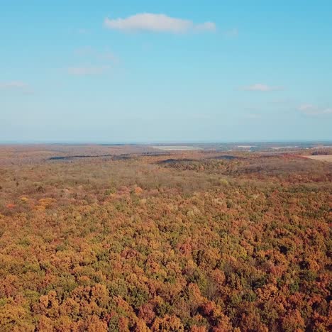 aerial view of autumn landscape of park on the background of a blue sky.