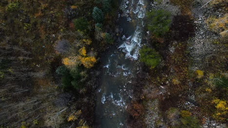 Cinematográfico-Drone-Aéreo-4x4-Carretera-Mármol-Cristal-Molino-Río-Maravillosa-Otoño-álamo-Temblón-Colores-Del-Otoño-Sur-De-Colorado-Montañas-Rocosas-Picos-Ouray-Telururo-Acampar-Junto-Al-Río-Hacia-Atrás-Vista-De-Pájaro