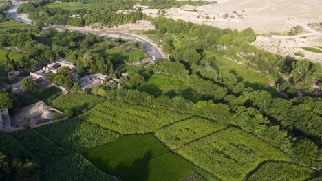 un valle con exuberante vegetación en el distrito de hesarak