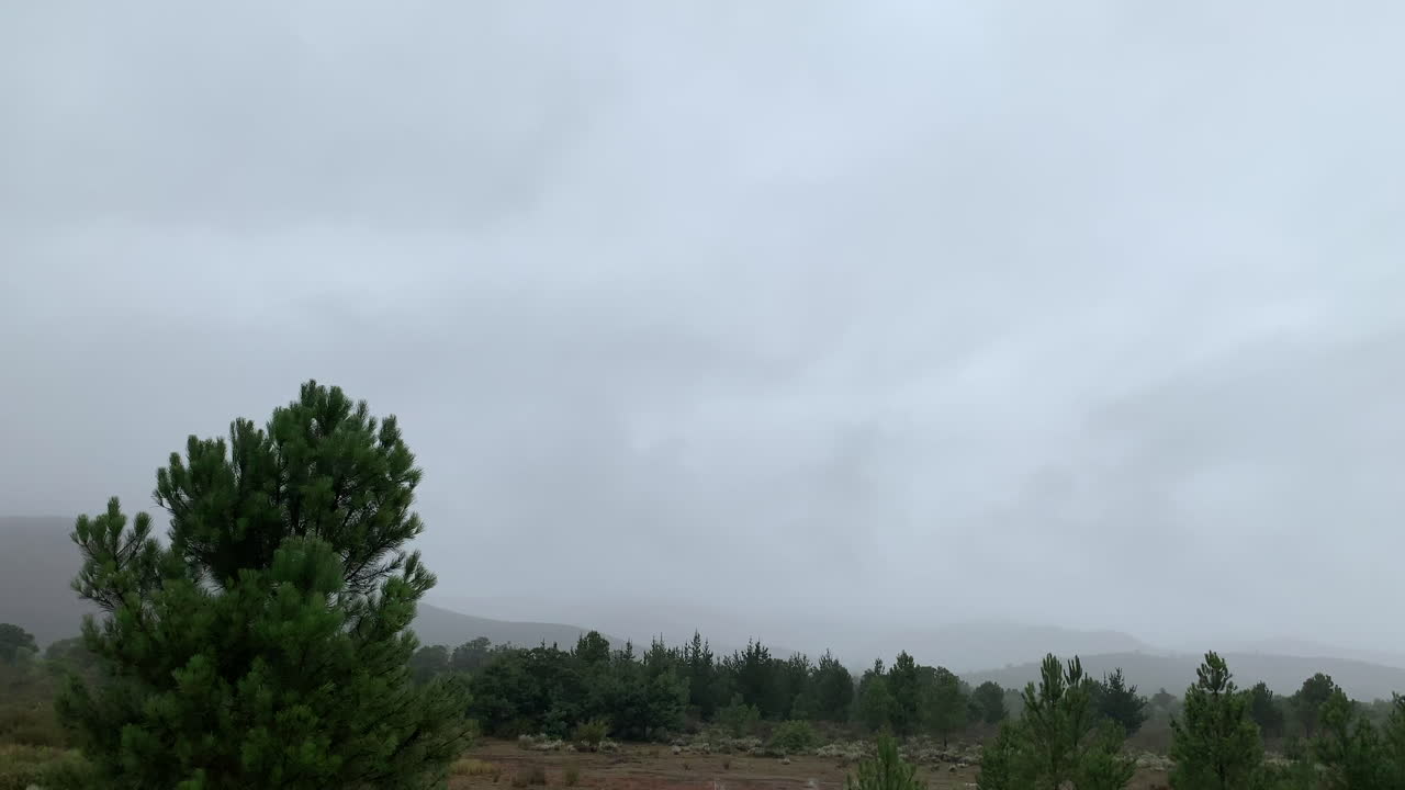 paisaje lluvioso, tiro continuo en movimiento