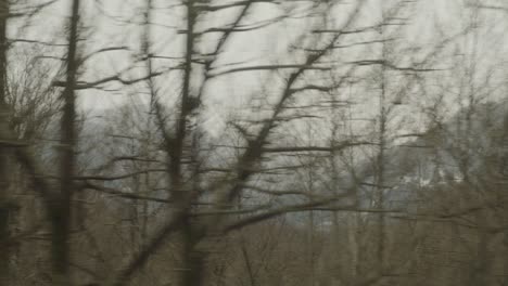 Moving-shot-with-trees-in-foreground-and-mountains-in-background