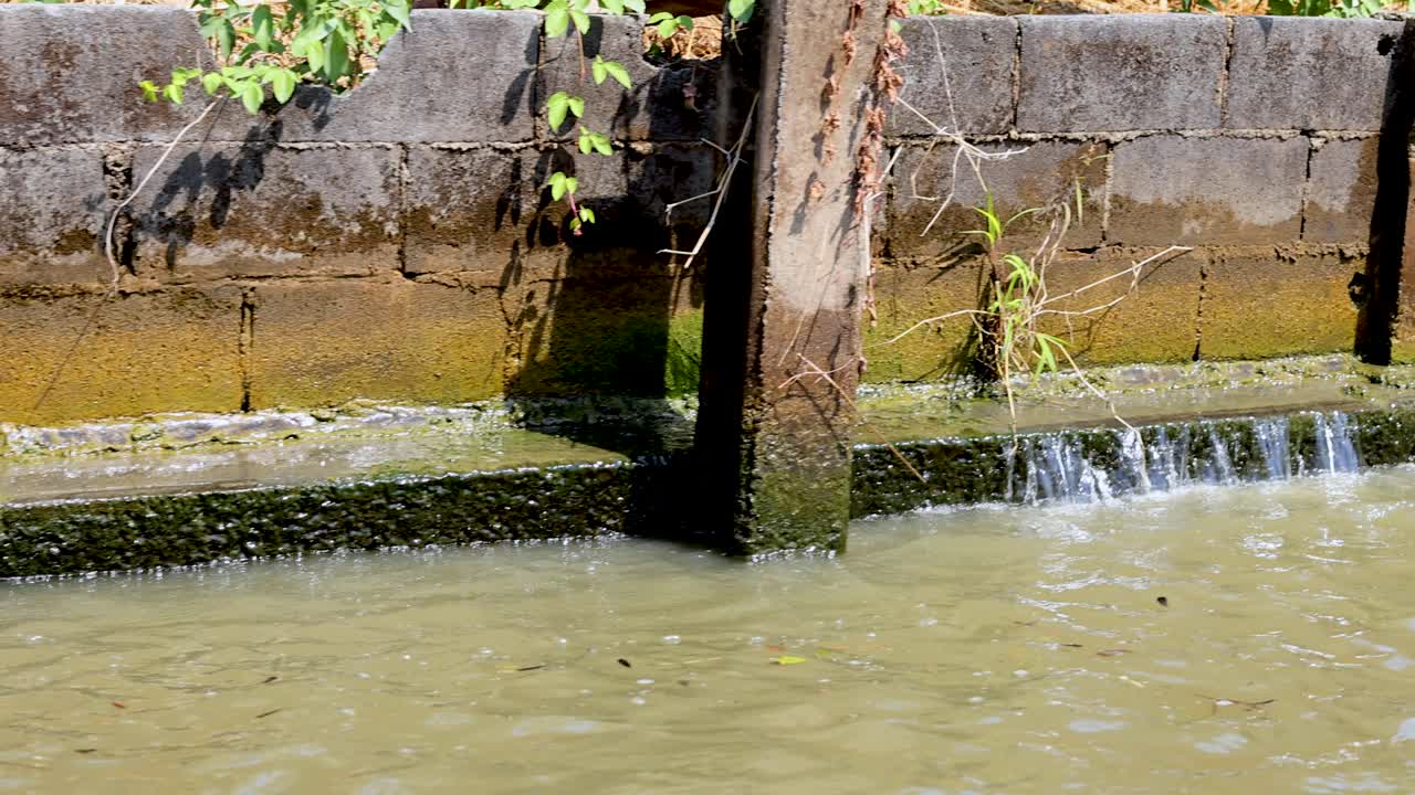 A serene view of water flowing through a canal in Bangkok, showcasing natural surroundings and gentle movement