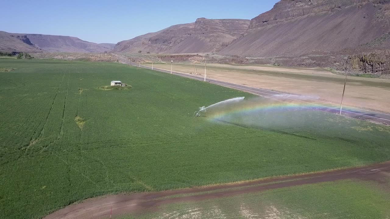 팔리세이드 옥수수  ⁇  관개는 생생한 다채로운 안개 무지개를 제공합니다